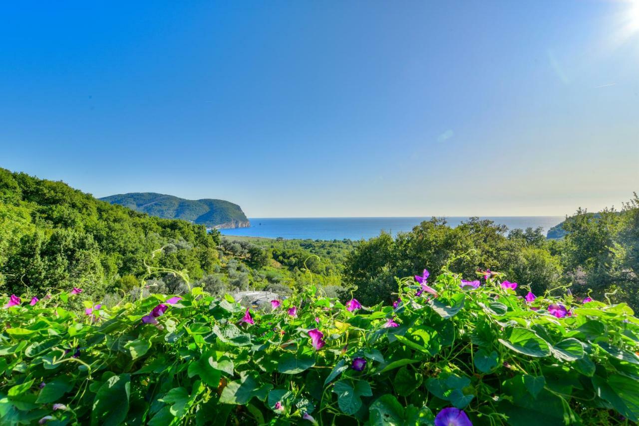 Pataki Guesthouse Petrovac Exterior photo